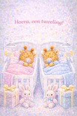 Kaart Hoera een tweeling! m-j