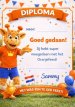 Sammy's Oranjefeest Spelletjespakket Sammy's Oranjefeest Spelletjespakket