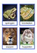 Beweegkaarten Dierengym Beweegkaarten Dierengym
